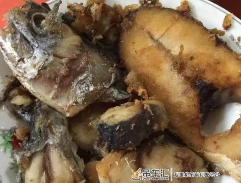 90后吊司月入八千但很累,吊嫂心疼每天做好吃的给他吃