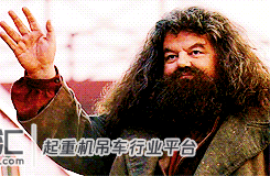 吊车老板对不起,我要辞职了...