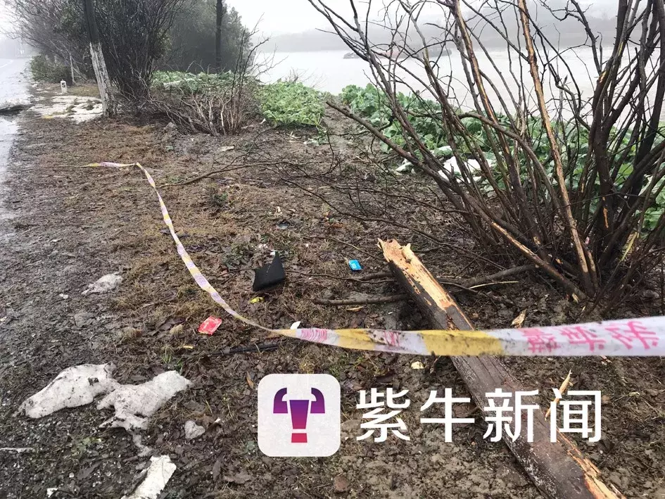 “神操作”司机找到了:公交车冲下河,他神反应开吊车“钓”人