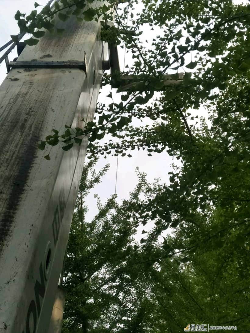 最艰难的吊树：车被划得遍体鳞伤，几次差点翻车！