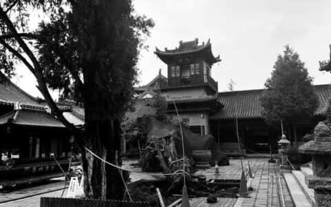 古观音禅寺千年侧柏雨中倒了 专家会诊吊车扶正