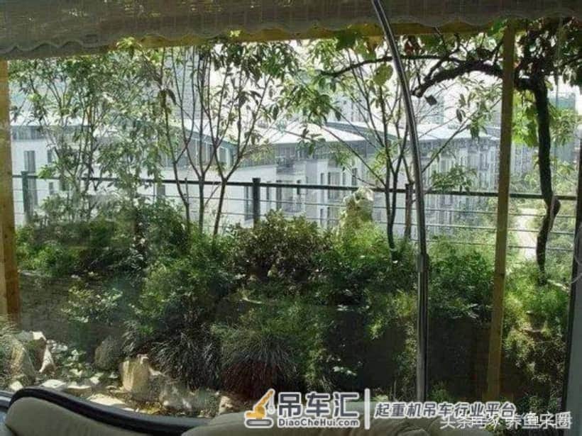 4米大鱼缸建设在顶楼,拆掉屋子的一面墙,专门往里吊玻璃!