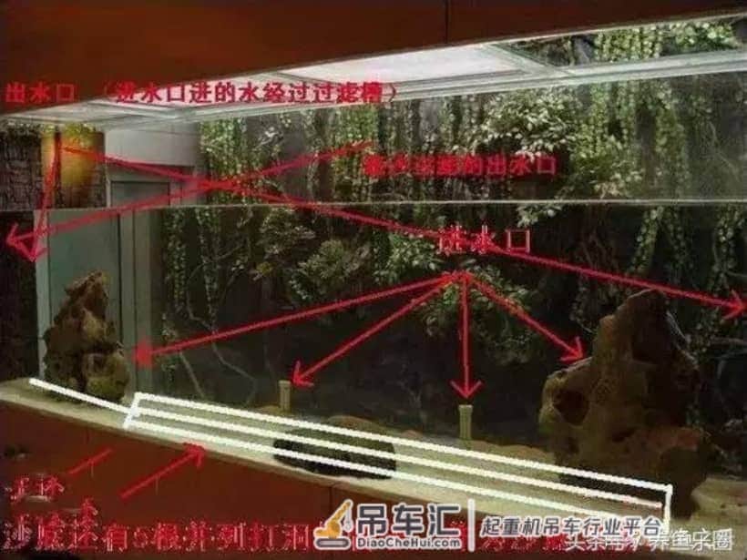 4米大鱼缸建设在顶楼,拆掉屋子的一面墙,专门往里吊玻璃!
