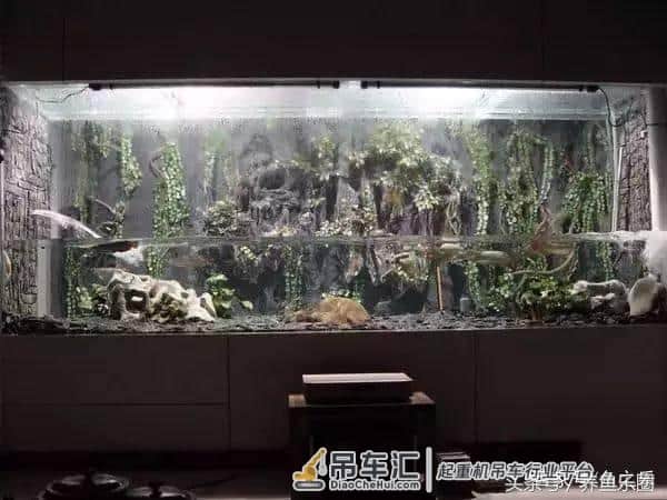 4米大鱼缸建设在顶楼,拆掉屋子的一面墙,专门往里吊玻璃!