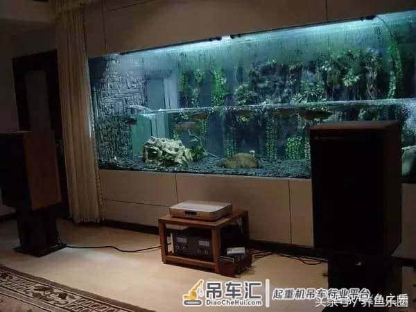 4米大鱼缸建设在顶楼,拆掉屋子的一面墙,专门往里吊玻璃!