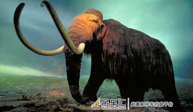 全球最壕吊装公司:顶级吊车全都有,自己还做了个3000t起重机!