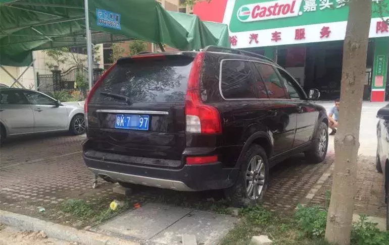 珠海男子开豪车冲进水塘,车主竟阻止吊车打捞,整车报废!