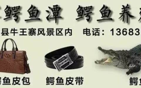 「公告」行唐供电公司致全县吊车、挖掘机、钩机等大型车辆驾驶员