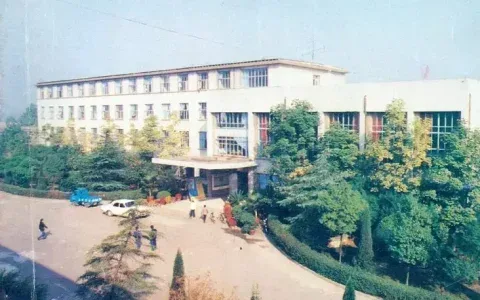 中联重科全球最大塔机智能工厂即将开园 背后故事全揭秘