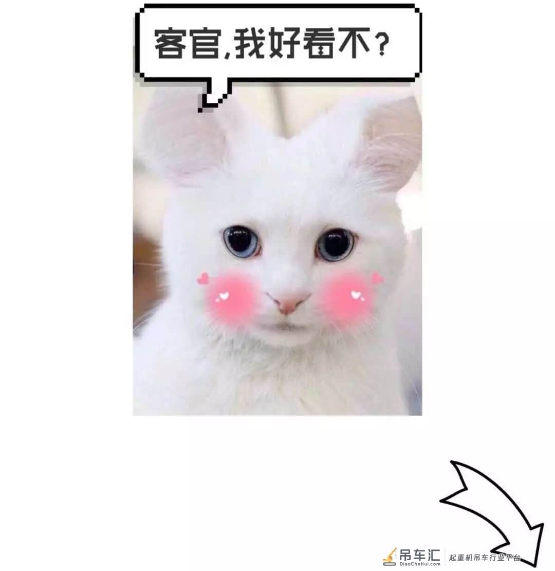 潍坊中南保利樾府发生起重机械坠落事故,被通报!