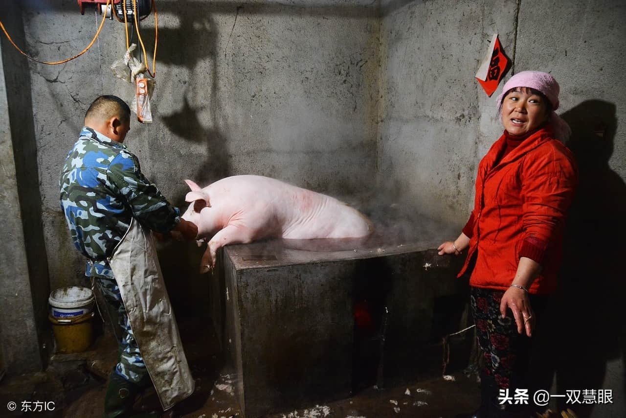 夫妻俩用起重机做脆皮烤猪,经验不足,一头猪掉到炉底,全烤糊了