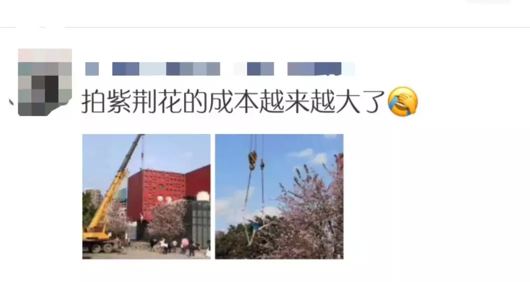 大吊车!后空翻!空中转体720!柳州小姐姐“飞天”拍紫荆!