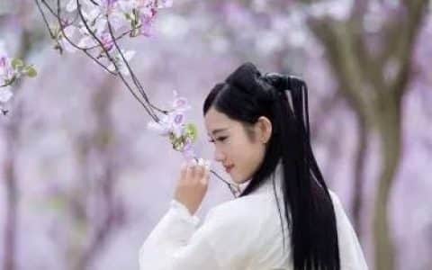美上天！柳州人为拍紫荆花，吊车都请来了！各种姿势太欢乐