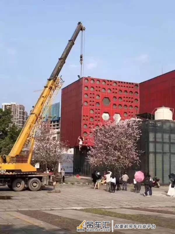 广西大妈火了!为了和紫荆花拍照竟用上了吊!车!网友:真硬核!
