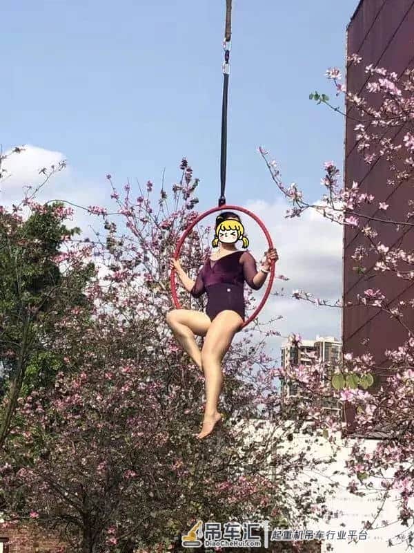 广西大妈火了!为了和紫荆花拍照竟用上了吊!车!网友:真硬核!