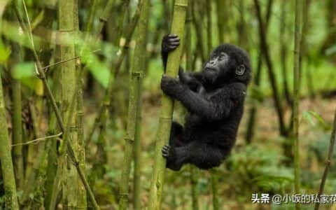 补充文章（一）：悬吊的奥秘