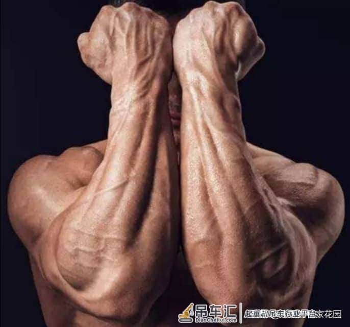 补充文章(一):悬吊的奥秘