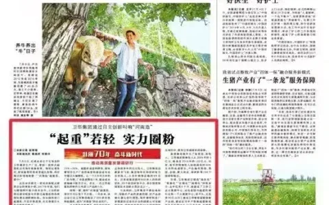 完美取代欧洲起重机，“河南造”长垣起重真中