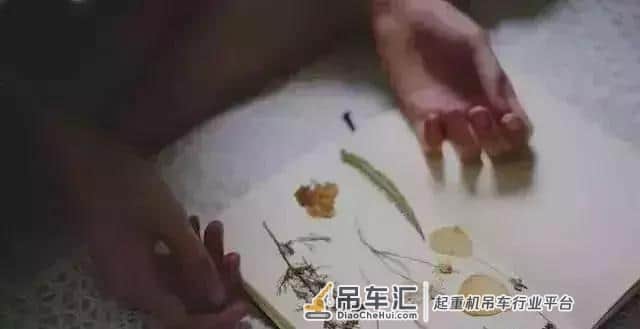 做塔吊司机,真的挺累!(句句扎心)