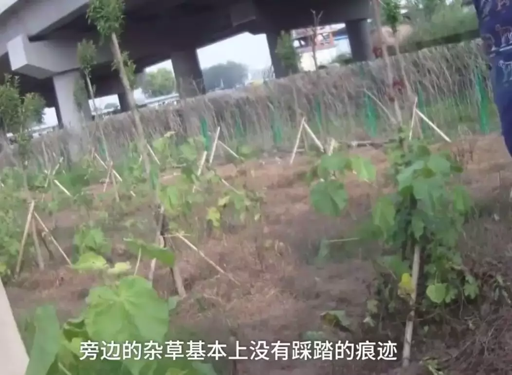 市民变压器被偷,竟是一男子花1000元雇大吊车和货车在高架桥上所为