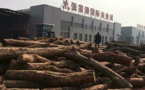 480万非洲原木港口突遇暴雨，起重机吊回工厂切开后现场却安静