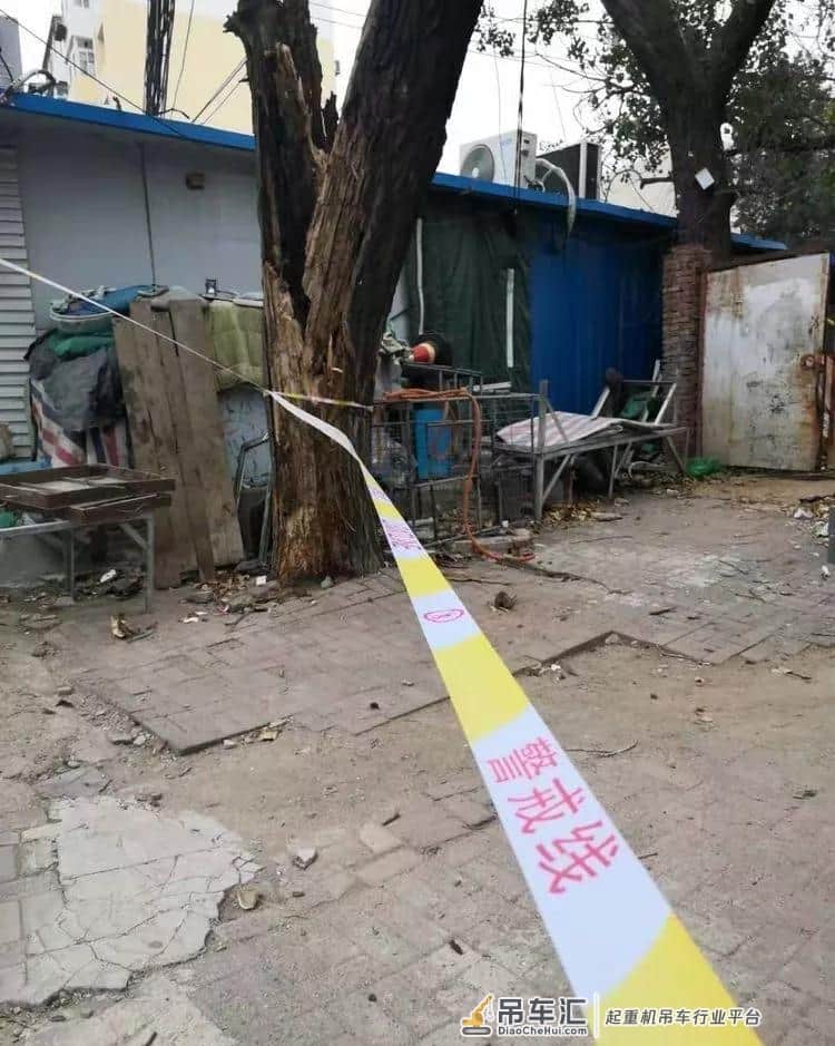 瓦房店一30多年生大树被风刮倒,这事动用了两台吊车