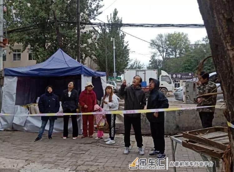 瓦房店一30多年生大树被风刮倒,这事动用了两台吊车