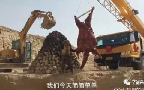 土豪花费6万元吃烤骆驼，用吊车吊起来烤，网友：最“硬核”烤肉