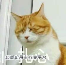 朝阳教育吊车尾？这8所一流初中带你突出重围！