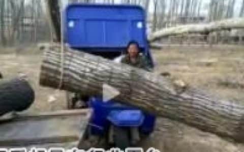 这才叫真正的改装农用小吊车，农民用自卸车，装木材省劲真牛