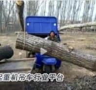 这才叫真正的改装农用小吊车，农民用自卸车，装木材省劲真牛