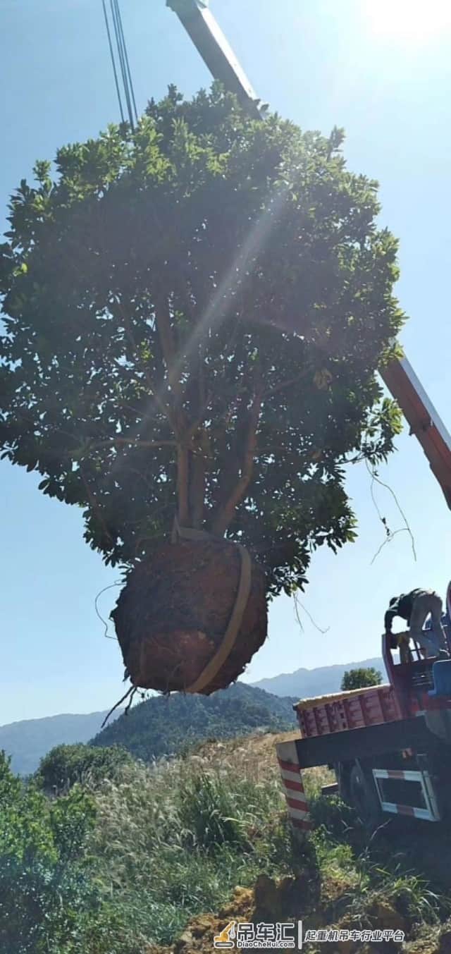 随车吊能不能挣钱？拿事例说话