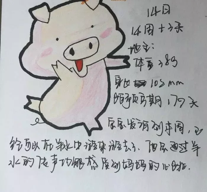 吊嫂:你出车,我在家安心养胎!我和宝宝等着你回来