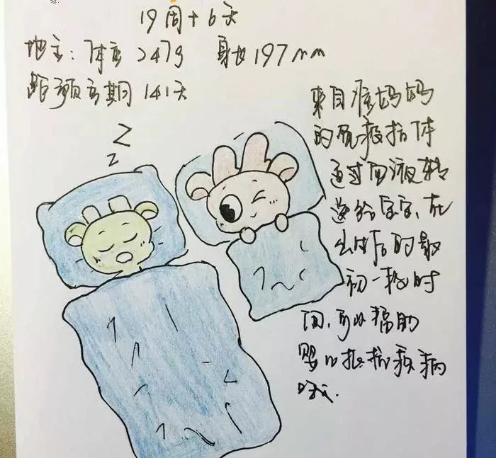 吊嫂:你出车,我在家安心养胎!我和宝宝等着你回来