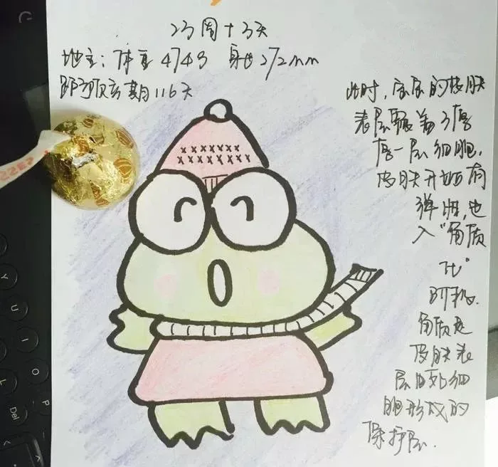 吊嫂:你出车,我在家安心养胎!我和宝宝等着你回来