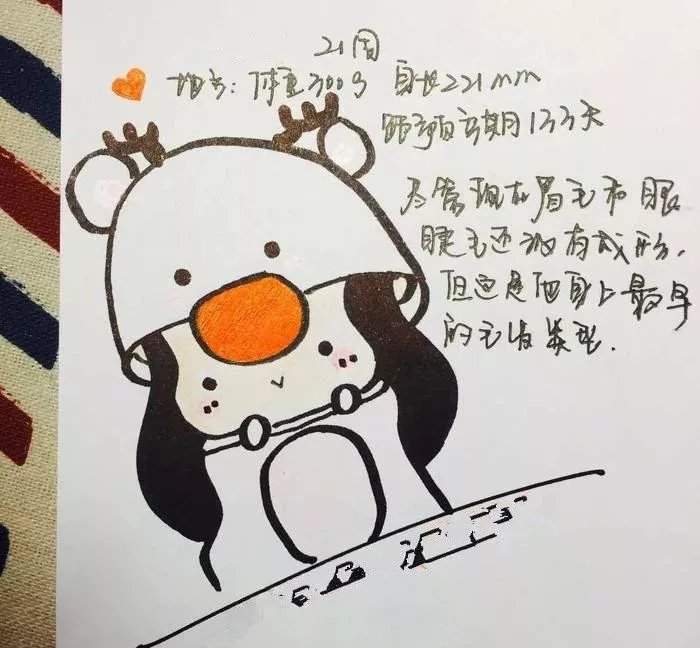 吊嫂:你出车,我在家安心养胎!我和宝宝等着你回来