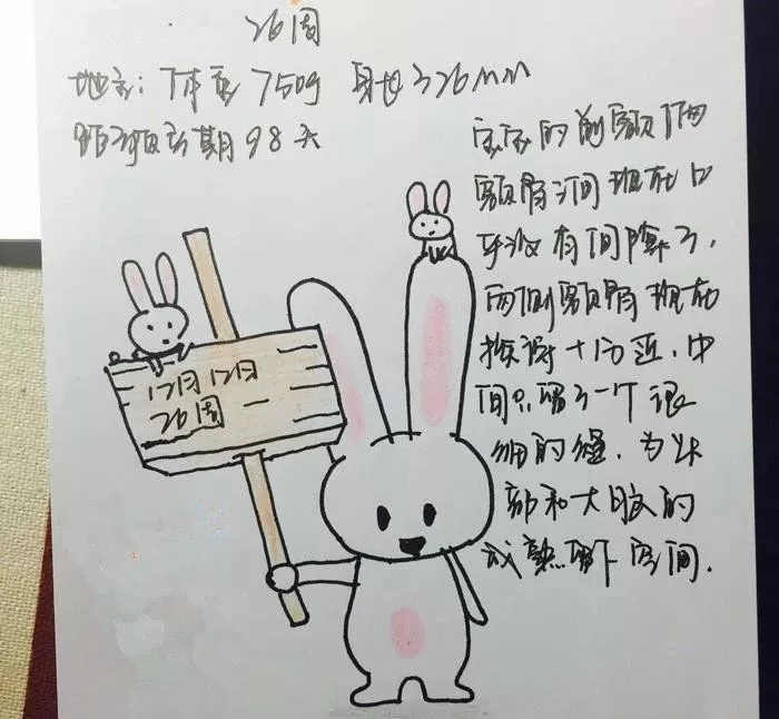 吊嫂:你出车,我在家安心养胎!我和宝宝等着你回来