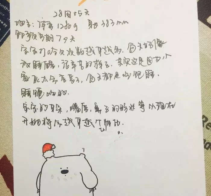 吊嫂:你出车,我在家安心养胎!我和宝宝等着你回来