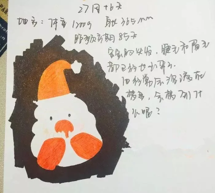 吊嫂:你出车,我在家安心养胎!我和宝宝等着你回来