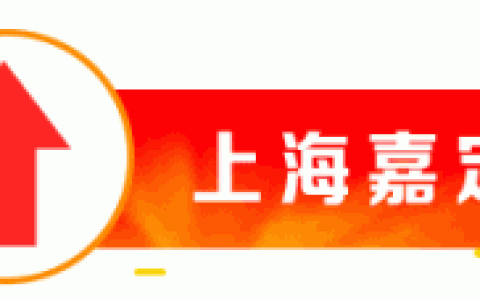 关键时刻，这位吊运“大侠”载着集装箱“从天而降”