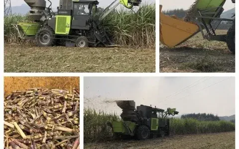 实拍丨蔗农点赞！中联重科助广西甘蔗生产抗疫情、抢农时、保丰收