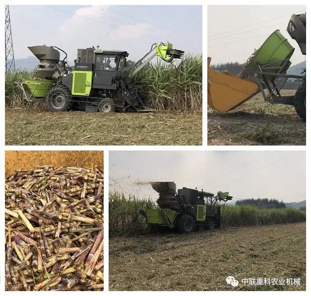 实拍丨蔗农点赞！中联重科助广西甘蔗生产抗疫情、抢农时、保丰收