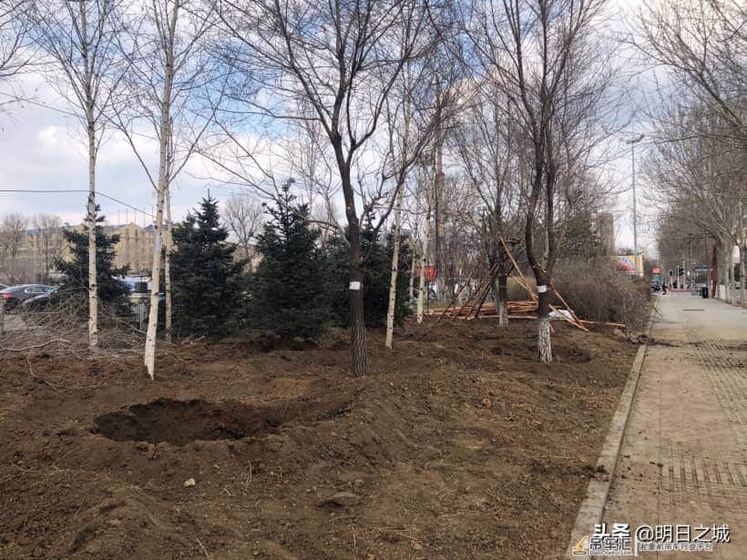 抓住现行了!长春干这事儿真用吊车啊