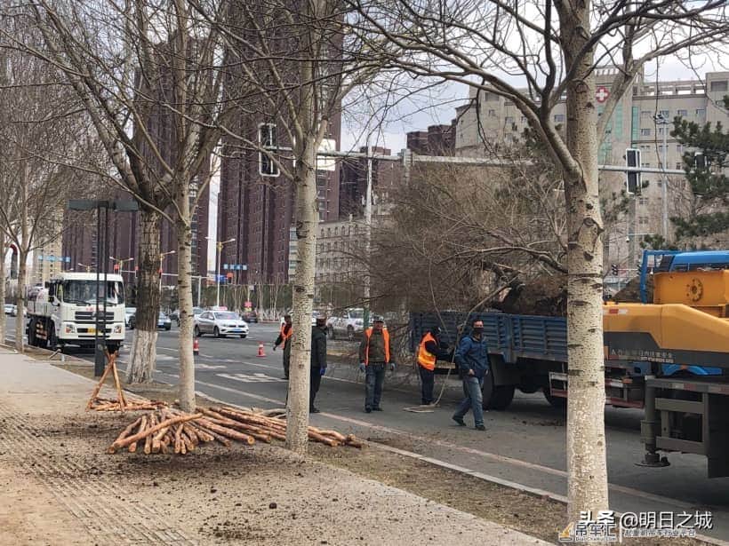 抓住现行了!长春干这事儿真用吊车啊