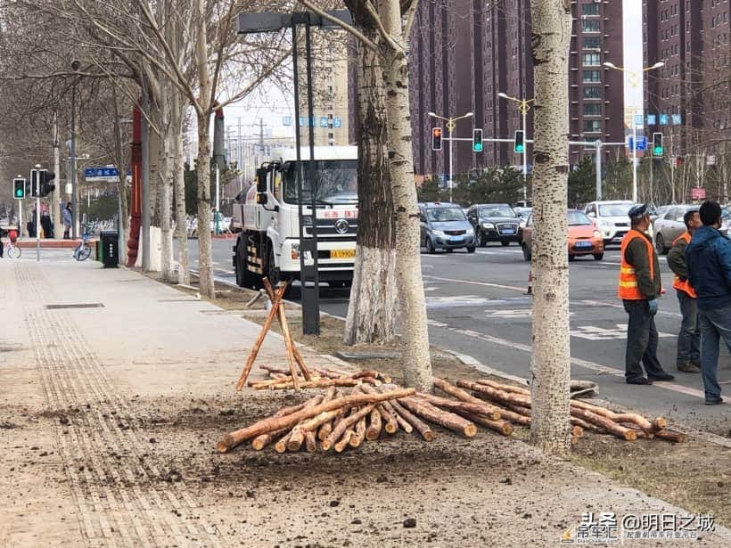 抓住现行了!长春干这事儿真用吊车啊