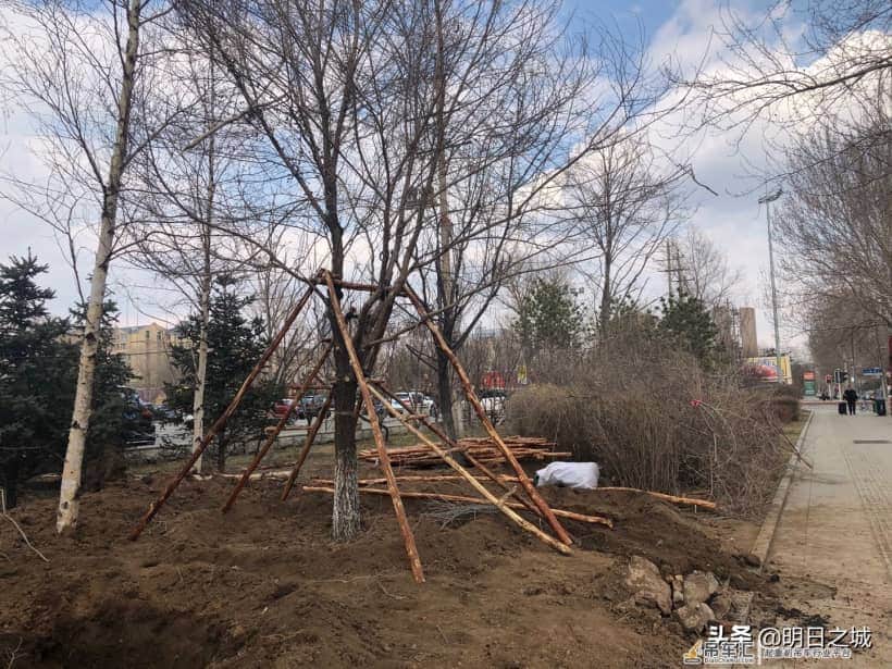 抓住现行了!长春干这事儿真用吊车啊