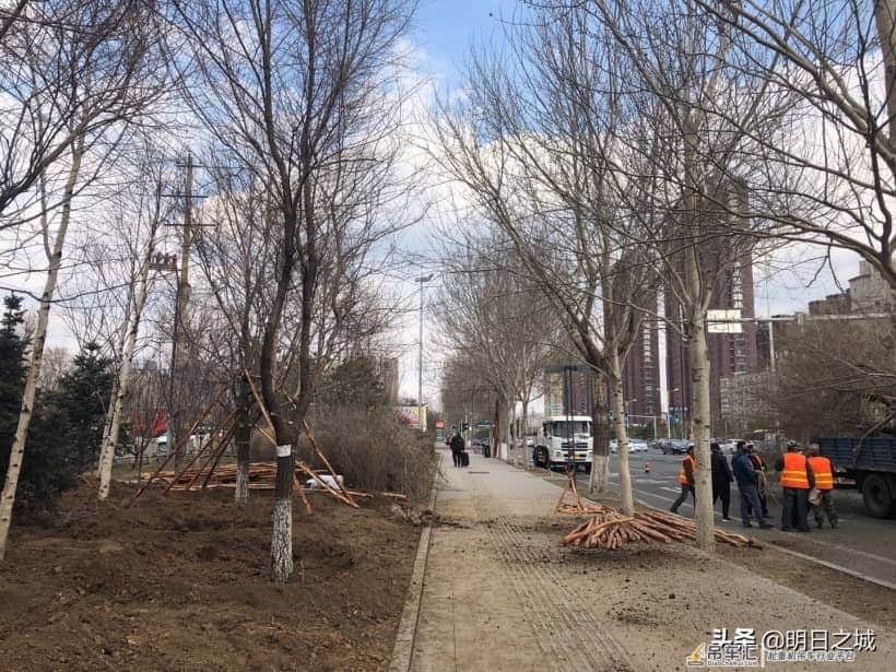 抓住现行了!长春干这事儿真用吊车啊