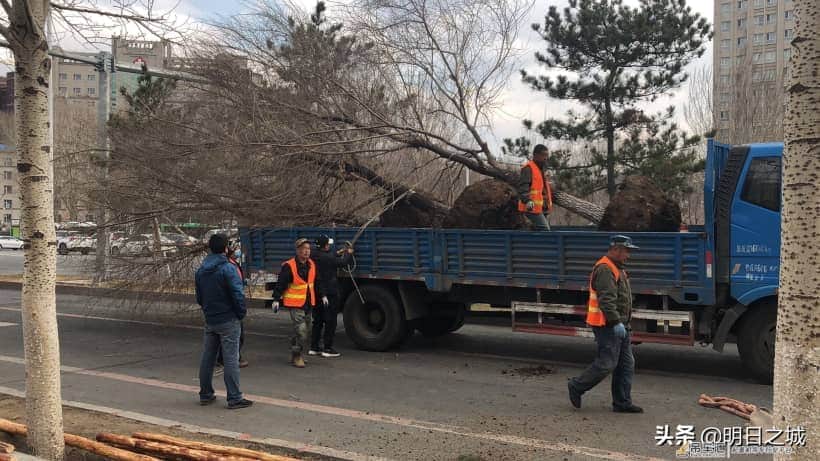 抓住现行了!长春干这事儿真用吊车啊