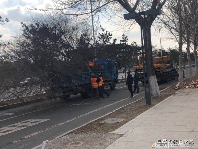抓住现行了!长春干这事儿真用吊车啊