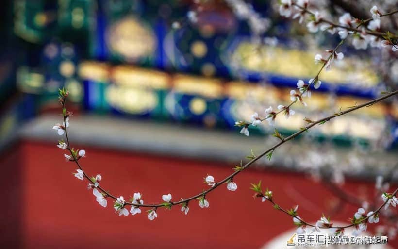 随手拍！起重机也可以美得惊艳
